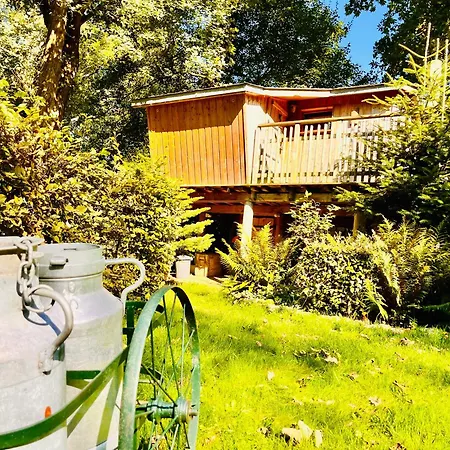 La Cabane Perchee Du Trappeur Ecrainville Exterior photo